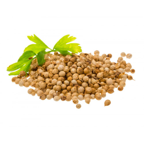 Гидролат Кориандра (Coriandrum sativum)